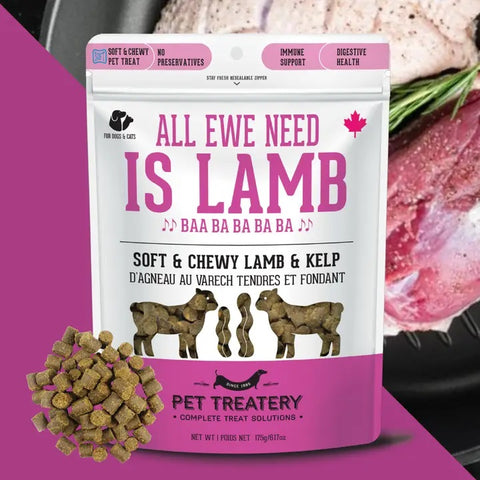 All Ewe Need is Lamb