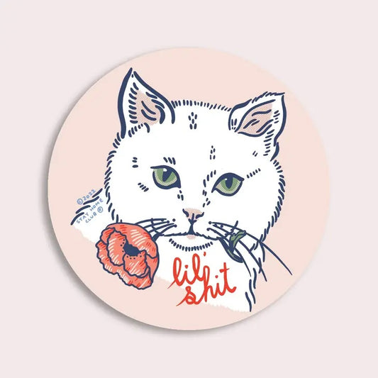 white cat with poppy flower in its mouth