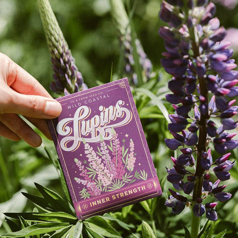 Lupins (Inner Strength) - Floriography Seed Packet - Soil - To & From Gift Co.
