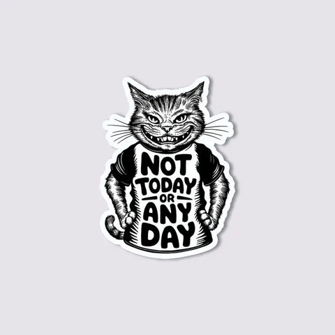 Not Today or Any Day Vinyl Sticker