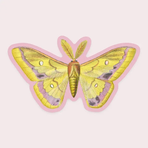 Splendid Moth Sticker