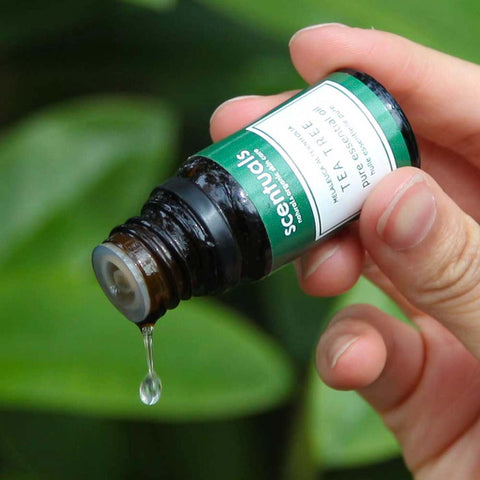 Hand holding a bottle of Scentuals Tea Tree oil with a droplet falling, against a green leafy background.