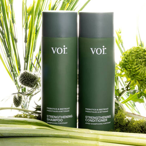 To See Balance: Strengthening Conditioner - Conditioner - Voir Haircare