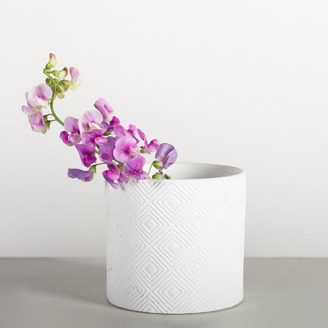 White Cement Planter Pot