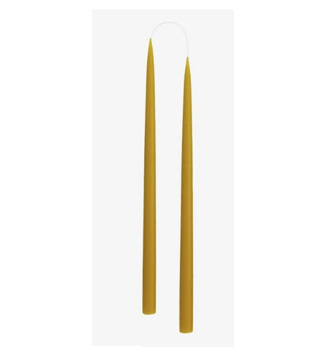 two tall, slender taper candles in a warm mustard yellow color, arranged in two pairs against a plain light gray background.